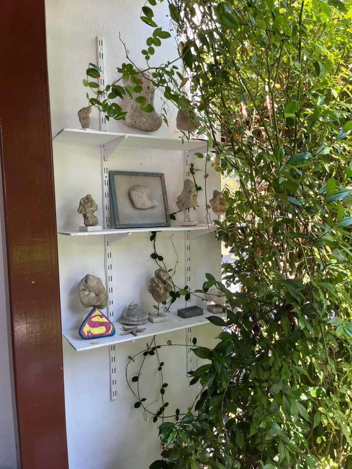 فيلا Andromeda Shell House بيفكوهوري المظهر الخارجي الصورة